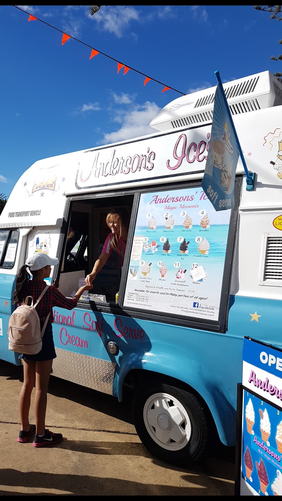 Andersons Ices | 6 Venus Ct, Mudgeeraba QLD 4213, Australia | Phone: 0435 600 757