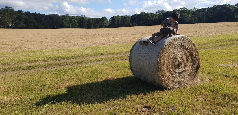 Brooman | 1295 The River Rd, Brooman NSW 2538, Australia | Phone: 0400 052 483