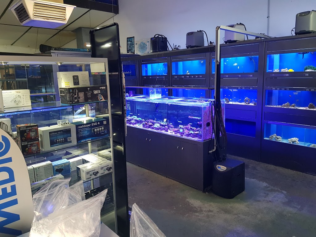 Aggies Aquariums | 4-7/10 Research Rd, Pooraka SA 5095, Australia | Phone: (08) 8359 7099