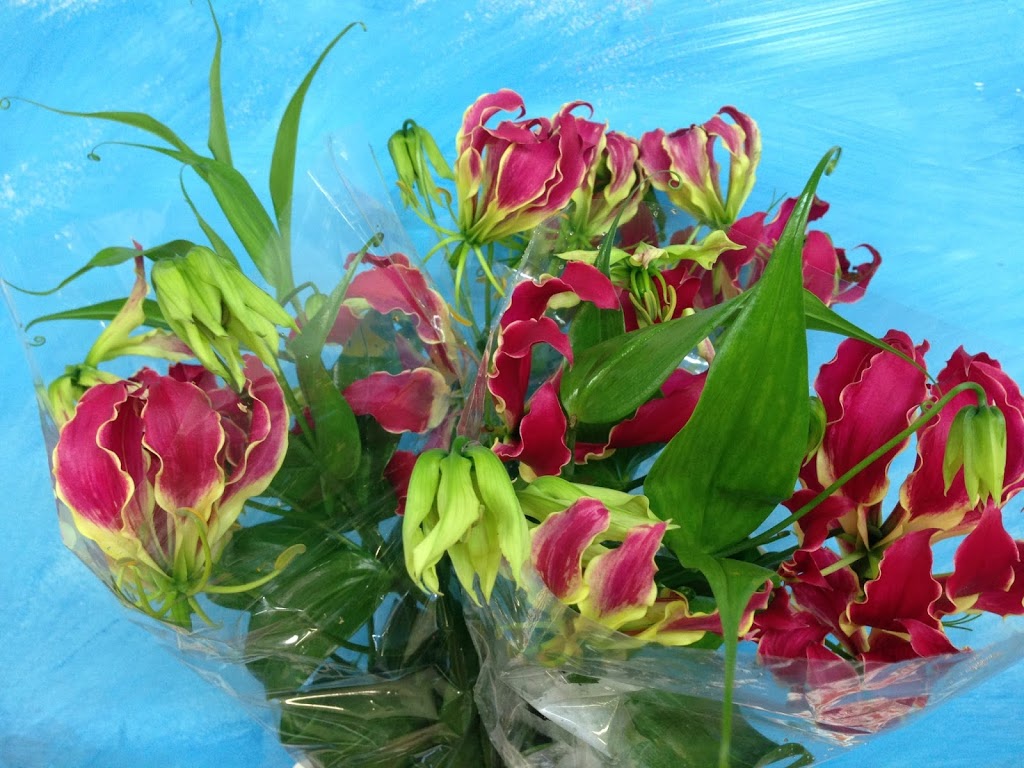 Michael Tesselaar Wholesale Flowers TOWNSVILLE | 29 Hamill St, Garbutt QLD 4814, Australia | Phone: (07) 4755 2010
