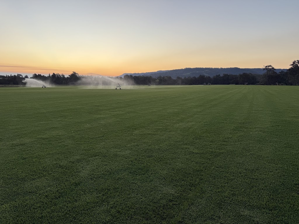 South Coast Turf | 59 Woodhill Mountain Rd, Berry NSW 2535, Australia | Phone: 0409 089 318