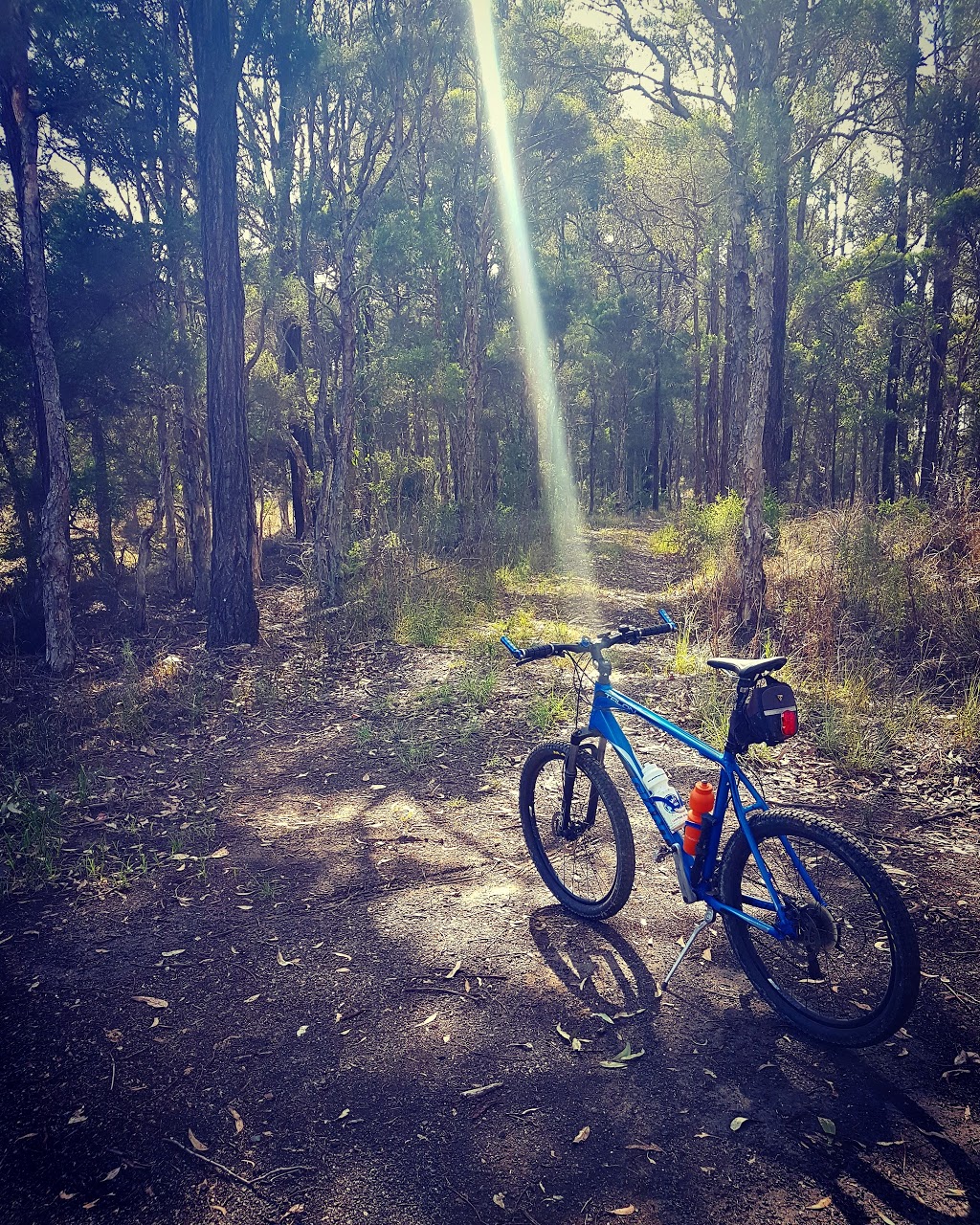 Castlereagh Nature Reserve | Berkshire Park NSW 2765, Australia