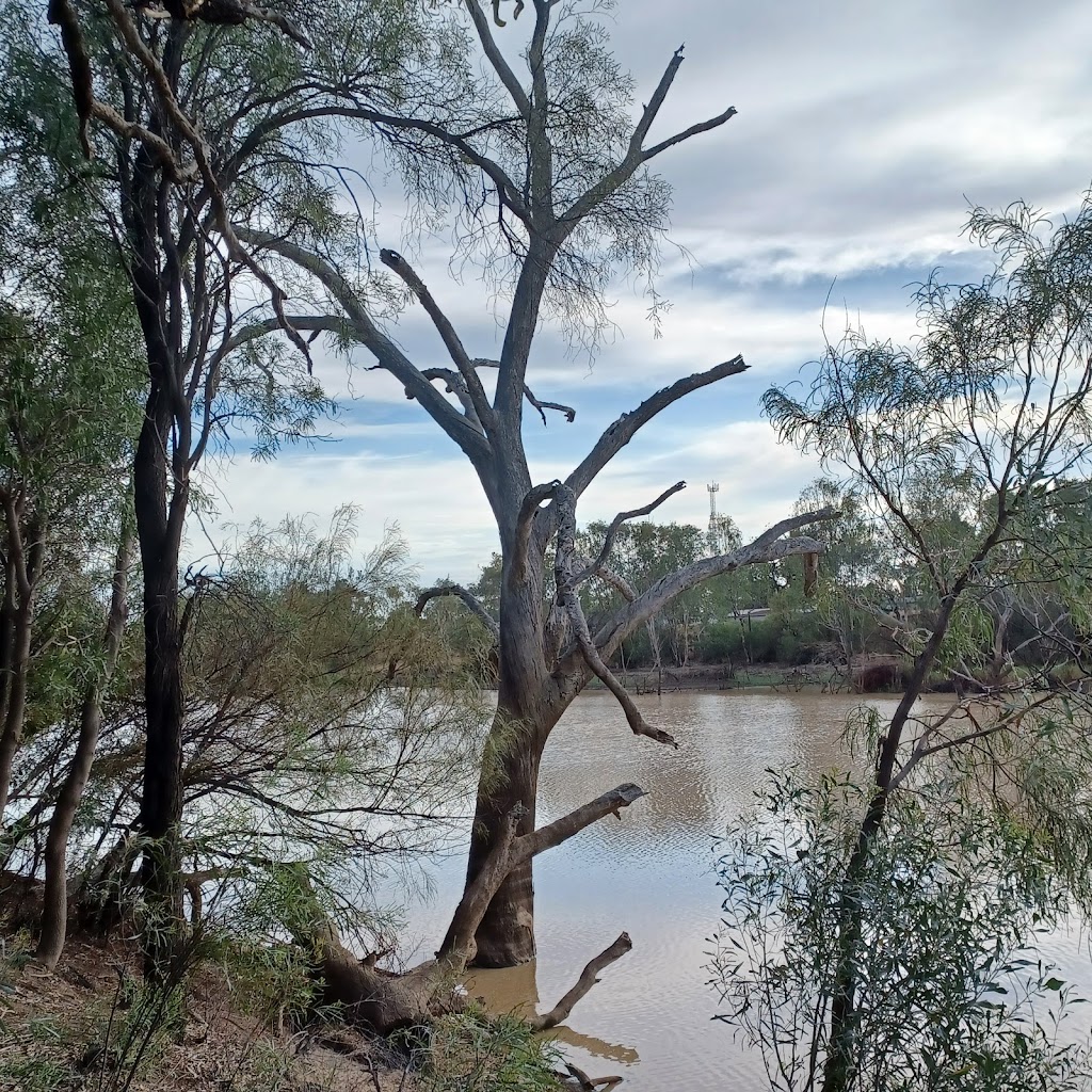 Riverwalk Cunnamulla | Adventure Way, Cunnamulla QLD 4490, Australia | Phone: (07) 4655 8470