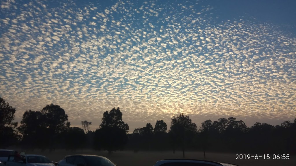 Mansfield parkrun, Queensland | health | 130 Blackberry St, Mansfield QLD 4122, Australia