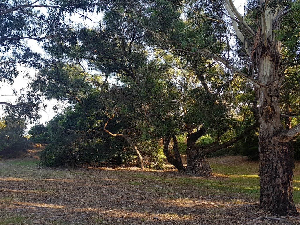 Yarralumla Reserve | park | Yarralumla Dr, Langwarrin VIC 3910, Australia
