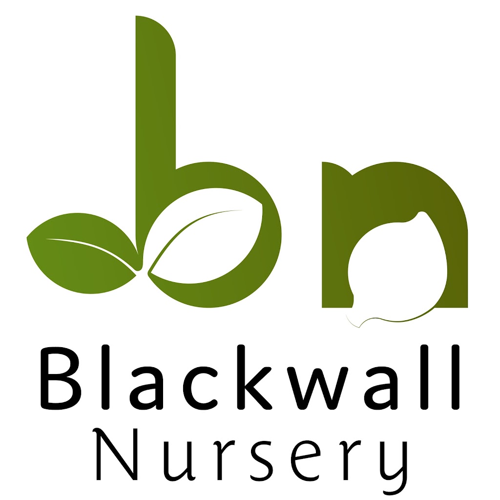 Blackwall Nursery | 103 Montis Rd, Bagotville NSW 2477, Australia | Phone: 0437 933 139