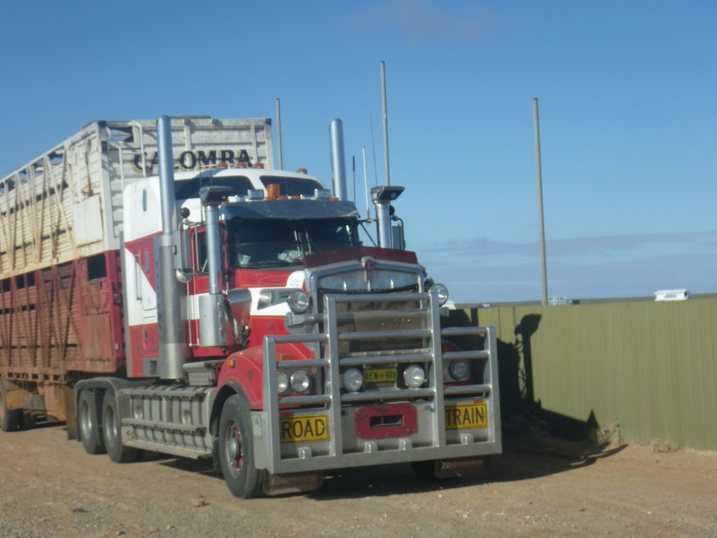 Calomba Transport | moving company | Shannon Rd, Calomba SA 5501, Australia | 0885272397 OR +61 8 8527 2397