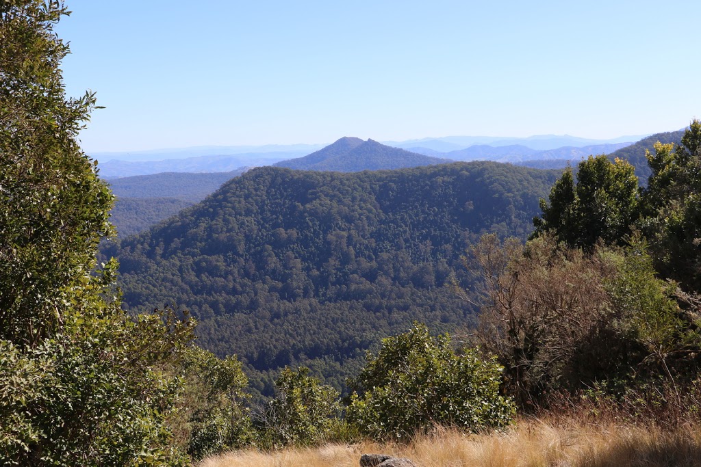 Mount Royal National Park | Mount Royal NSW 2330, Australia | Phone: (02) 6574 5555