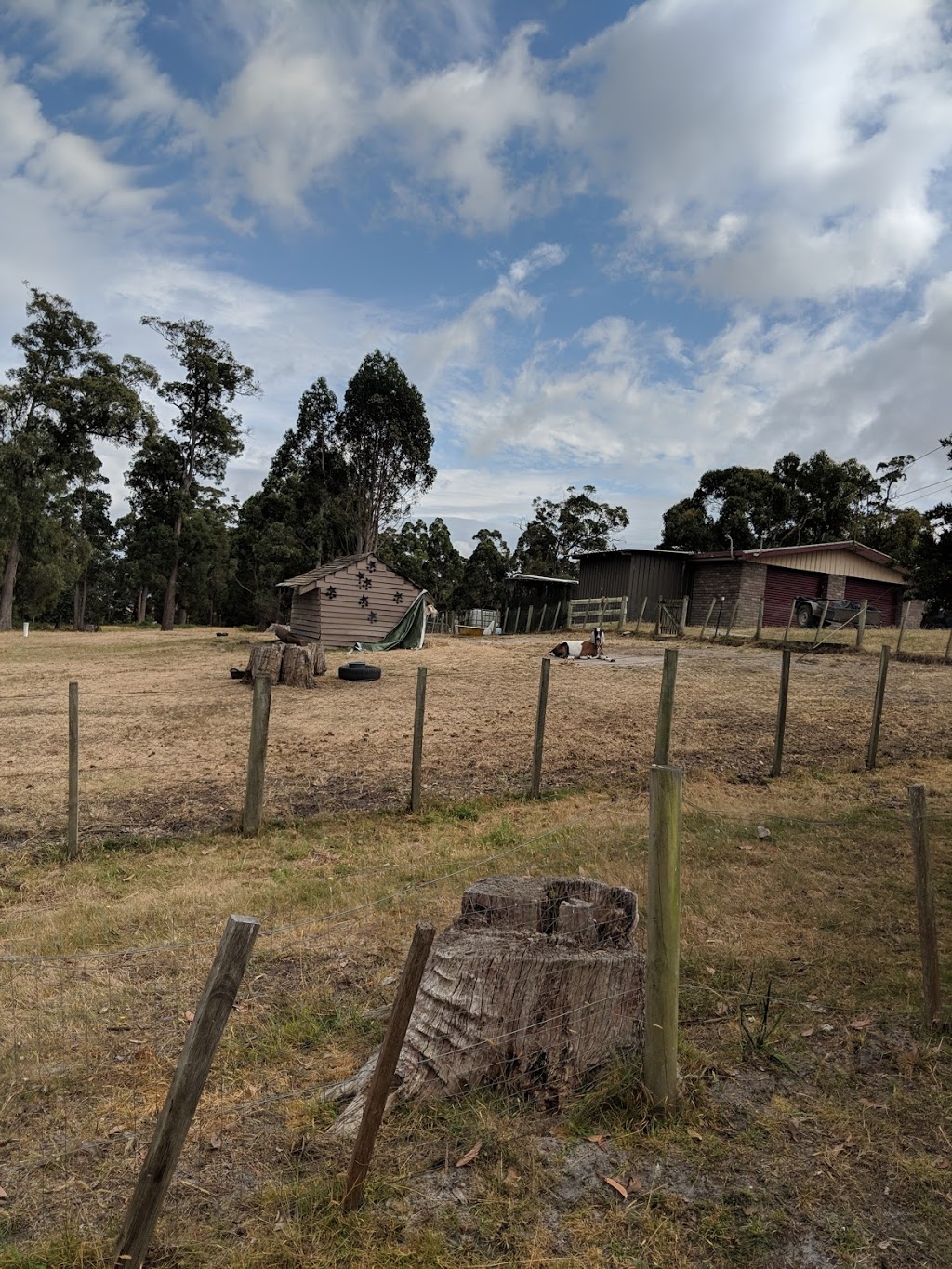 Glengarry Farm Stay BnB | 115 Lamont Rd, Glengarry TAS 7275, Australia | Phone: 0409 740 580