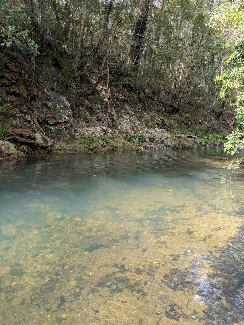 Stony Creek Glamping and Wildlife Haven | 275 Fletcher Rd, Stony Creek QLD 4514, Australia | Phone: 0415 088 182