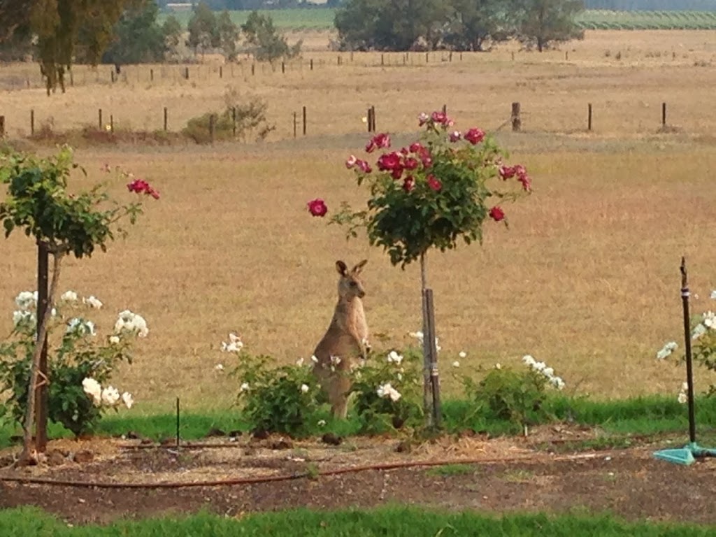 Pemberley Grange | lodging | 130 Hill St, Broke NSW 2330, Australia | 0265791046 OR +61 2 6579 1046