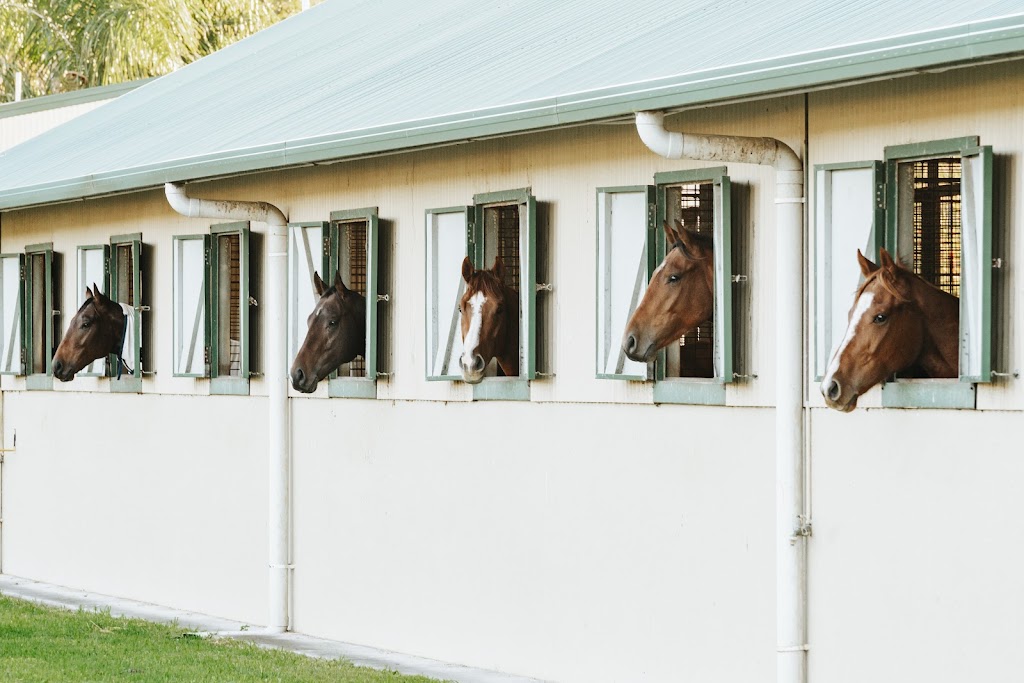 Limitless Lodge | 378 Yarramalong Rd, Wyong Creek NSW 2259, Australia | Phone: 0418 475 685