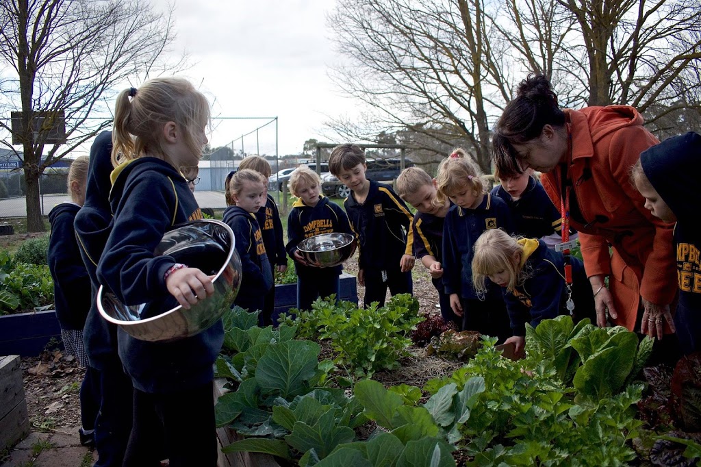 Campbells Creek Primary School | 127 Main Rd, Campbells Creek VIC 3451, Australia | Phone: (03) 5472 2180