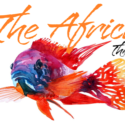 The African Queen | pet store | 107 Waverley St, Bucasia QLD 4750, Australia