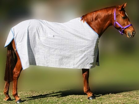 Camelot Horse Rugs | 1063 Castlereagh Rd, Castlereagh NSW 2749, Australia | Phone: (02) 4776 1300