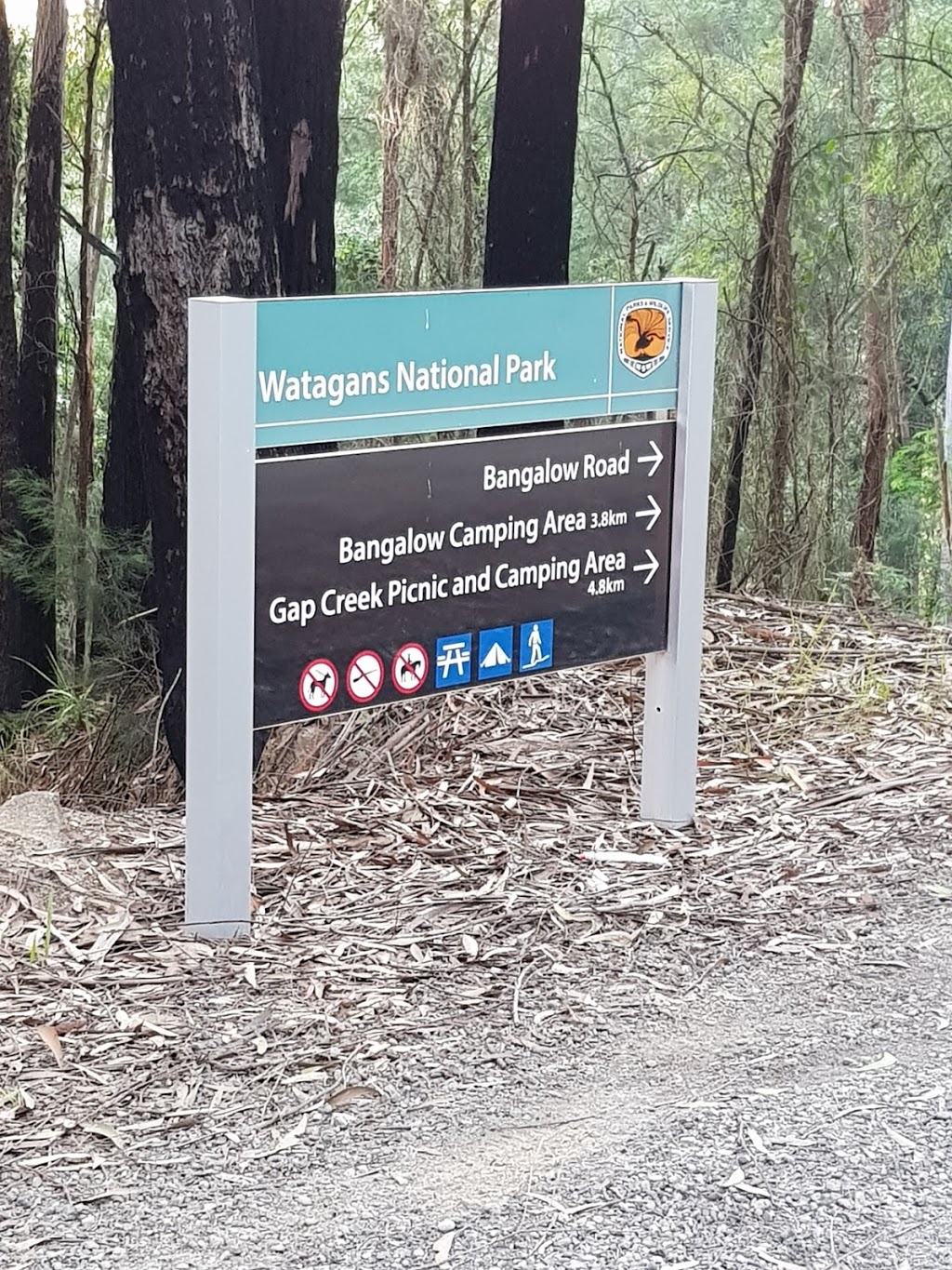 Gap Creek campground | campground | Bangalow Road, Martinsville NSW 2265, Australia | 0249729000 OR +61 2 4972 9000