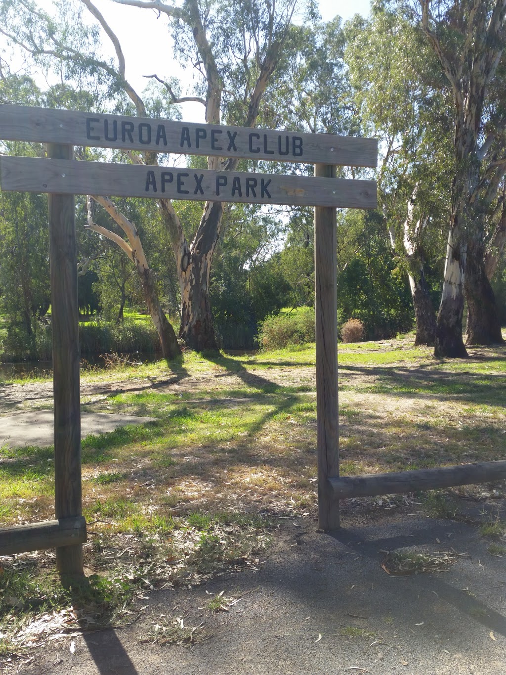 Euroa Apex Park | park | 66/68 Kirkland Ave, Euroa VIC 3666, Australia