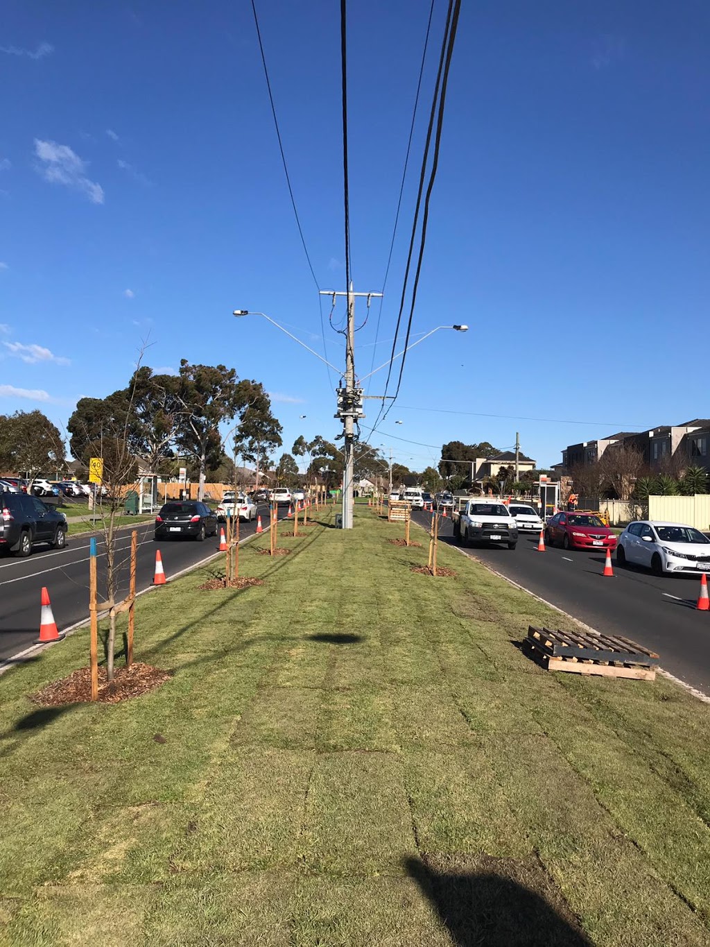 Trifolium Landscapes & Environmental Planning Pty Ltd | 22 Old Kinglake Rde, Steels Creek VIC 3775, Australia | Phone: 0418 260 227