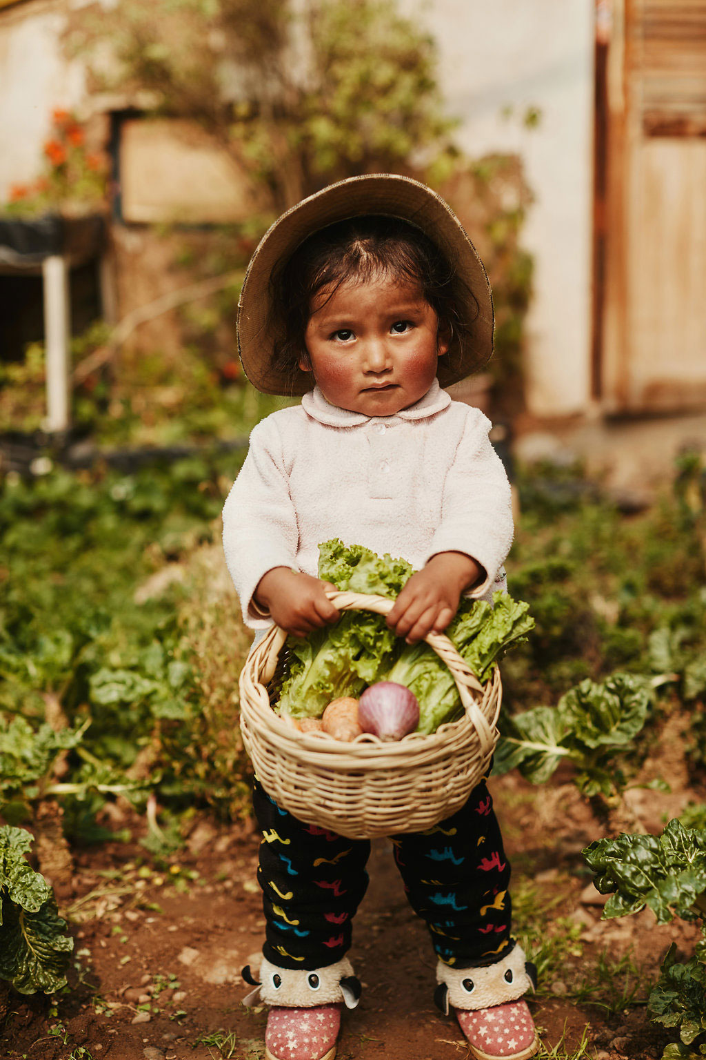 Compassion Australia | 30 Warabrook Blvd, Warabrook NSW 2304, Australia | Phone: 1300 224 453
