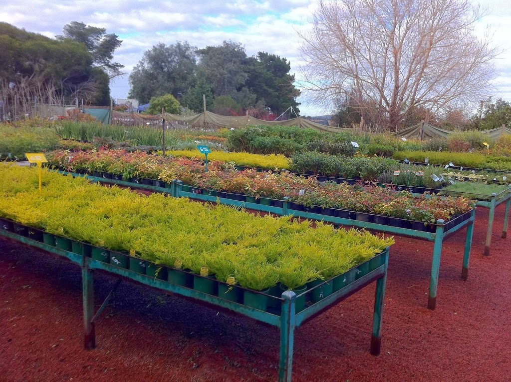 Rockbank Nursery | store | 2341 Western Highway, Rockbank VIC 3335, Australia | 0397471860 OR +61 3 9747 1860