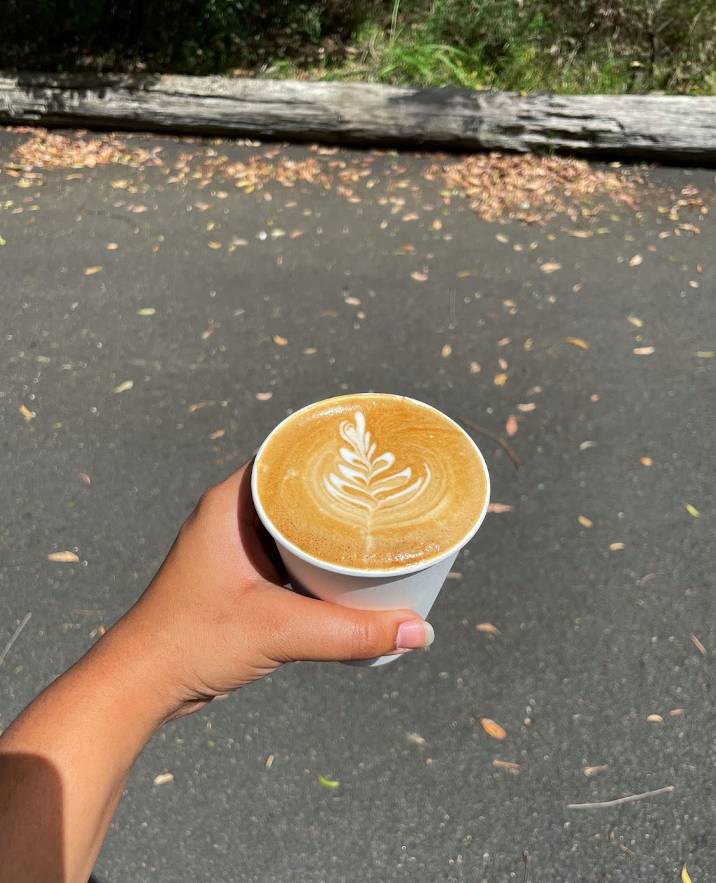 RnK espresso | cafe | Park, Marsfield NSW 2122, Australia | 0491045839 OR +61 491 045 839