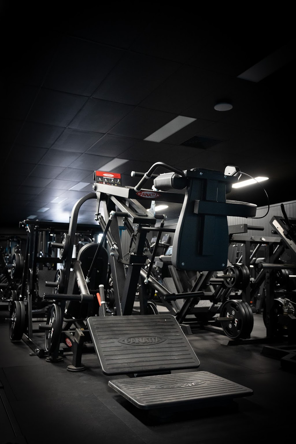 Forged Fitness Studio | Upper Level car park, Shop 18/10 Shuter Ave, Thurgoona NSW 2640, Australia | Phone: (02) 6055 2872