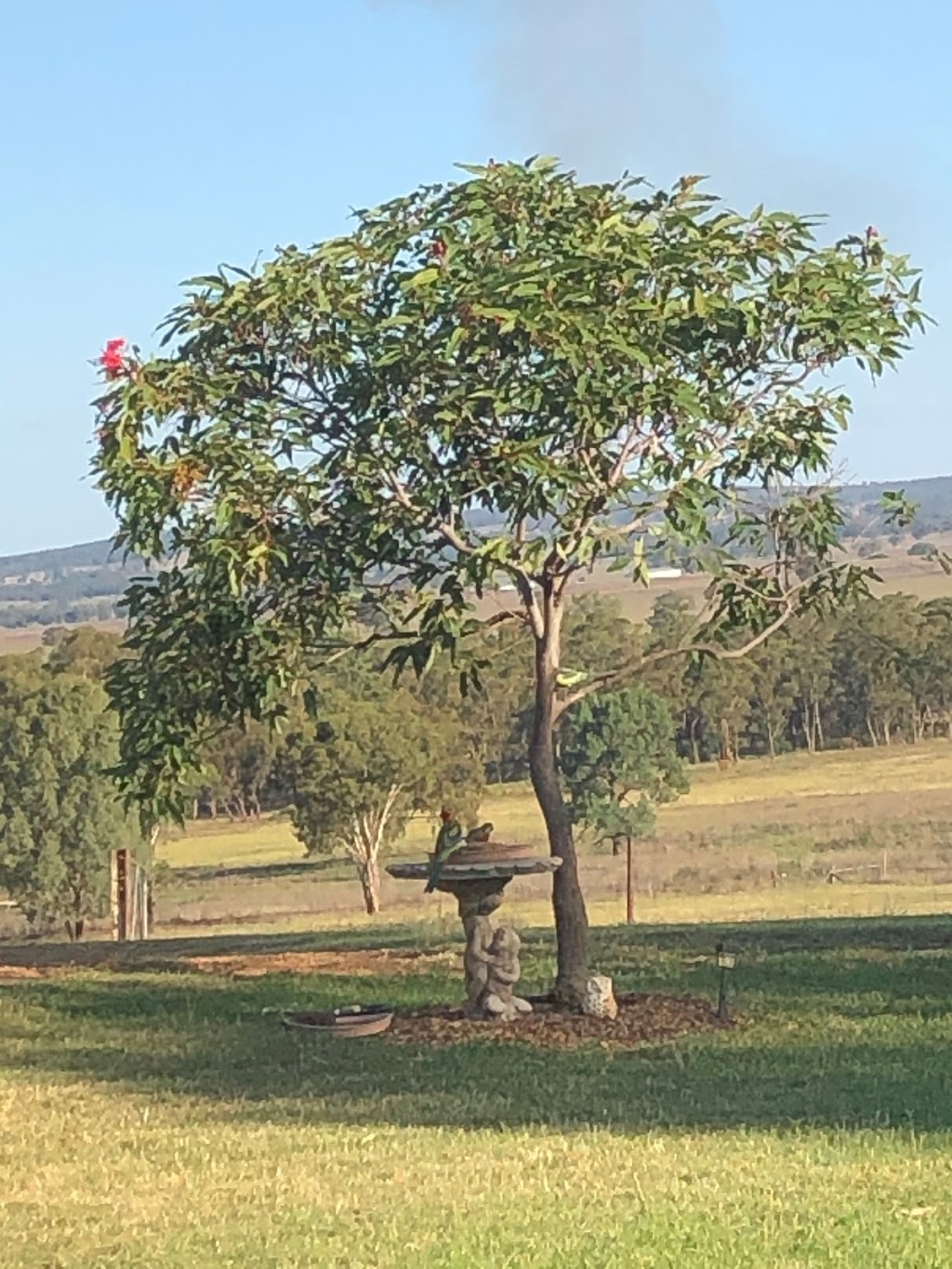 Wendy Merrick Photography | 2R Boundary Creek Road, Dubbo NSW 2830, Australia | Phone: 0421 634 096