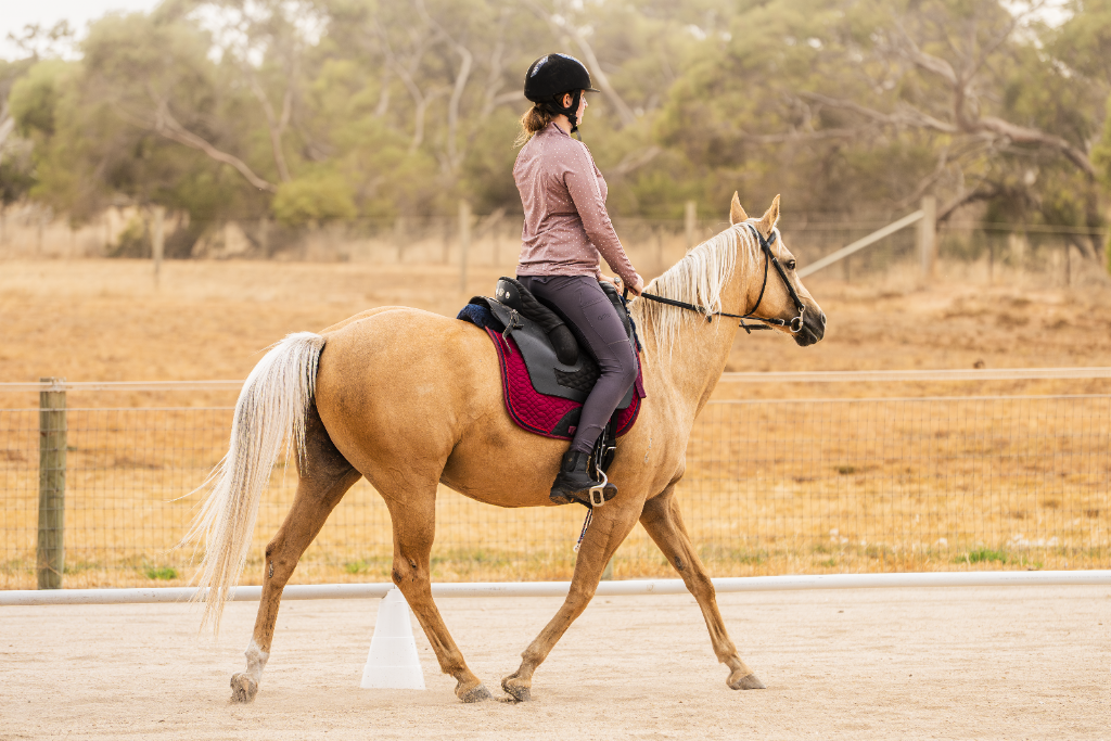 Harmony N Horsemanship | Burns Rd, Mount Pleasant SA 5235, Australia | Phone: 0419 144 387