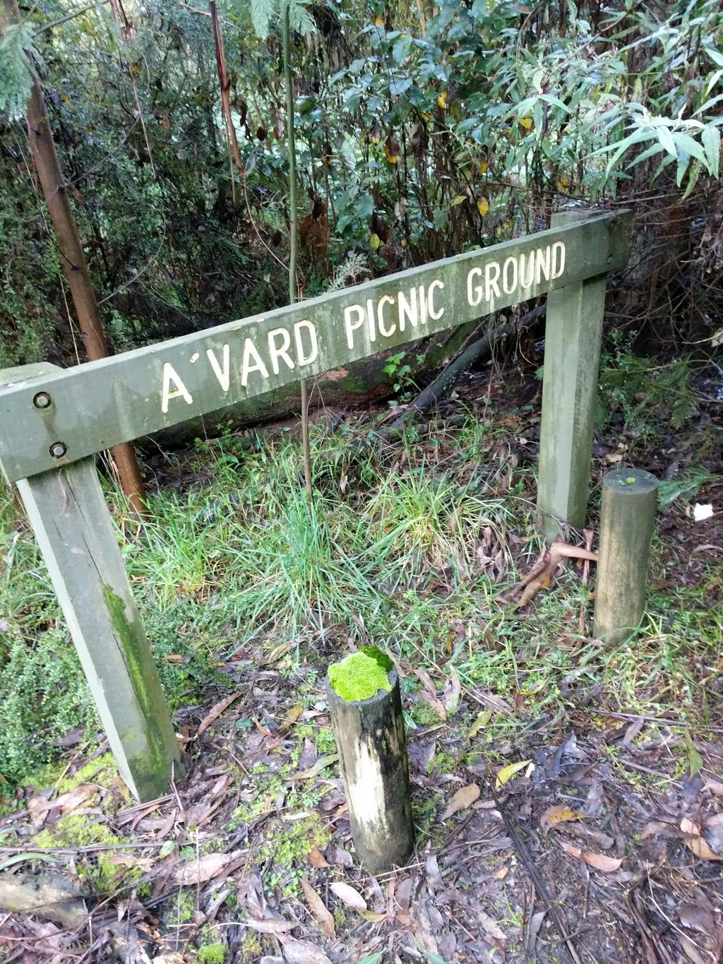 Avard Picnic ground | park | Emerald VIC 3782, Australia