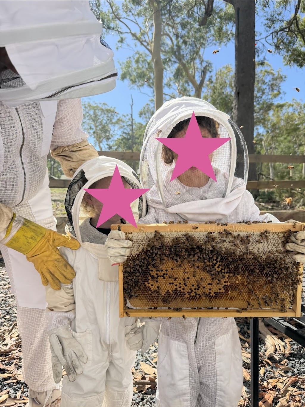 The Apiary at Bay and Bush Jervis Bay | 21 Pritchard Ave, Woollamia NSW 2540, Australia | Phone: (02) 4444 6879