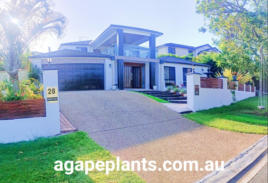 Agape Aqua Plants | store | 28 Orion Pl, Bridgeman Downs QLD 4035, Australia | 0411653777 OR +61 411 653 777