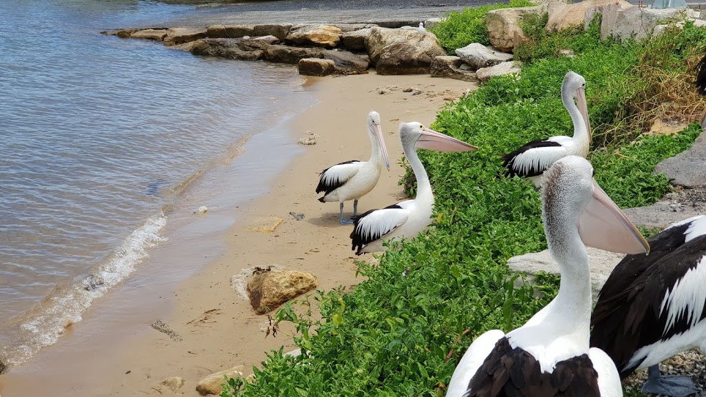 Deerubbun Reserve | Mooney Mooney NSW 2083, Australia