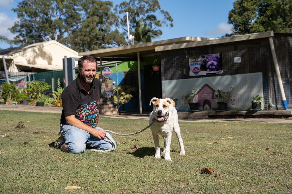 RSPCA Bundaberg |  | 31 Doblo St, Branyan QLD 4670, Australia | 0741551736 OR +61 7 4155 1736