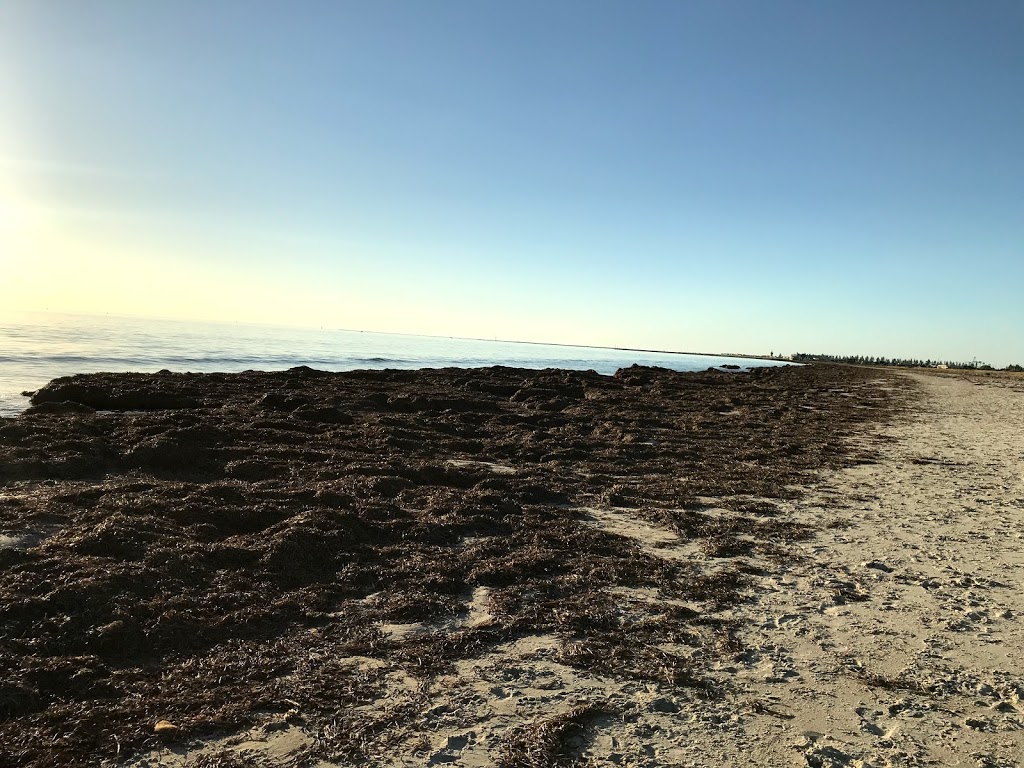 Largs Beach | park | Taperoo SA 5017, Australia