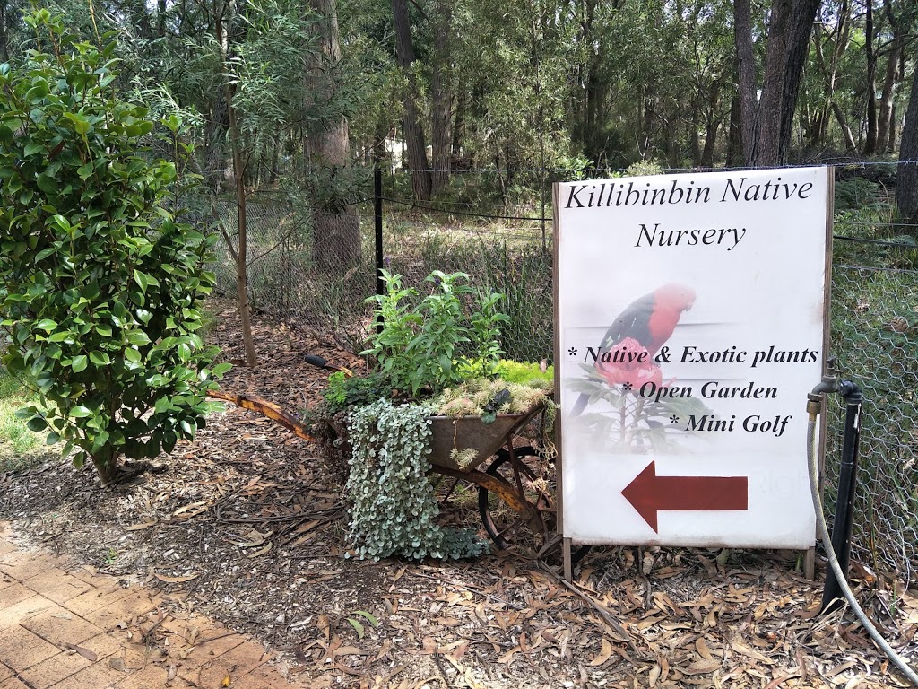 Killibinbin Nursery | 283 Chifley Rd, Dargan NSW 2786, Australia | Phone: 0428 305 120