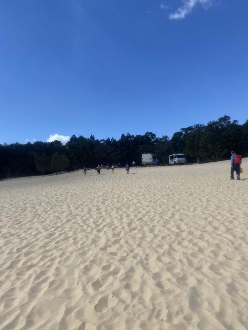 Tangalooma Desert Safari Tour | Tours Desk, Tangalooma QLD 4025, Australia | Phone: (07) 3637 2000