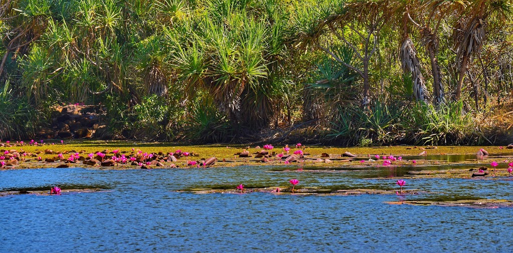 Sanctuary Lakes Park | park | 120 Lakeview Blvd, Gunn NT 0832, Australia