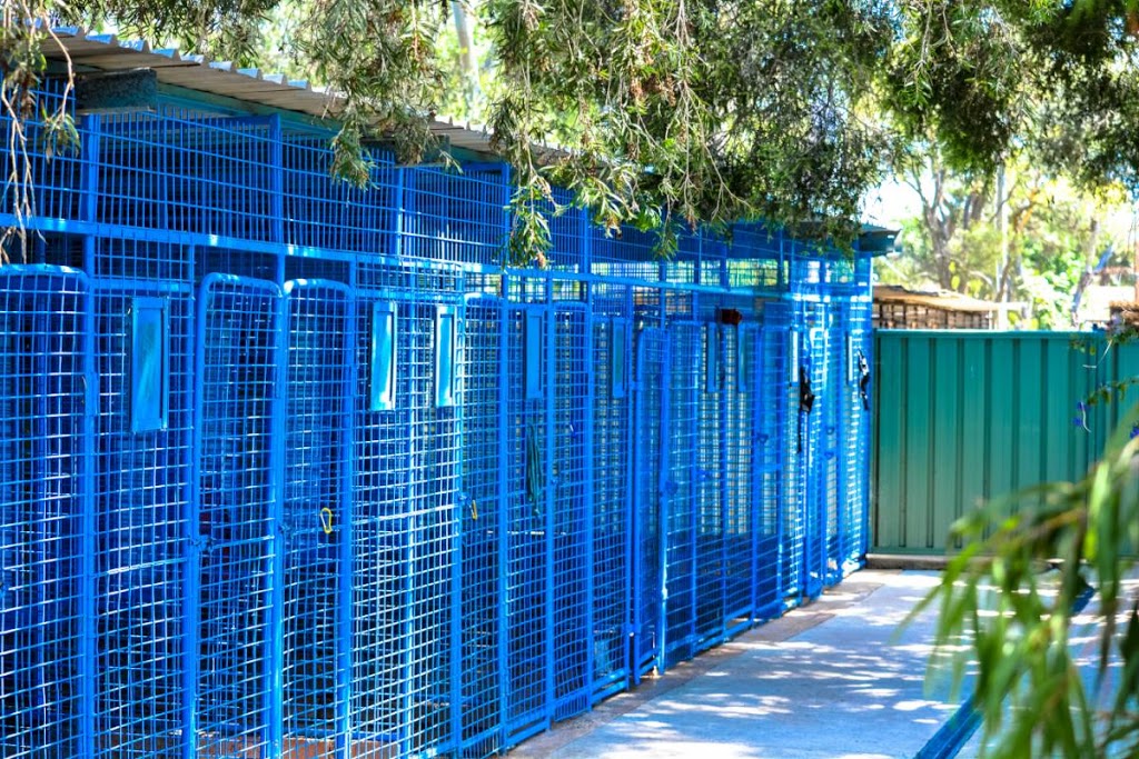 Solar Lodge Boarding Kennels & Cattery | veterinary care | 10 Fifth Rd, Berkshire Park NSW 2765, Australia | 0245725053 OR +61 2 4572 5053