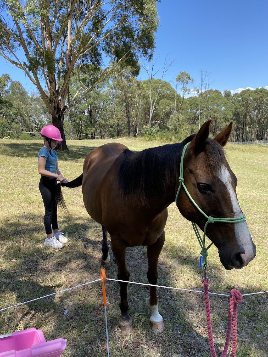 Canyonleigh Trails | 2400 Canyonleigh Rd, Canyonleigh NSW 2577, Australia | Phone: 0490 205 505