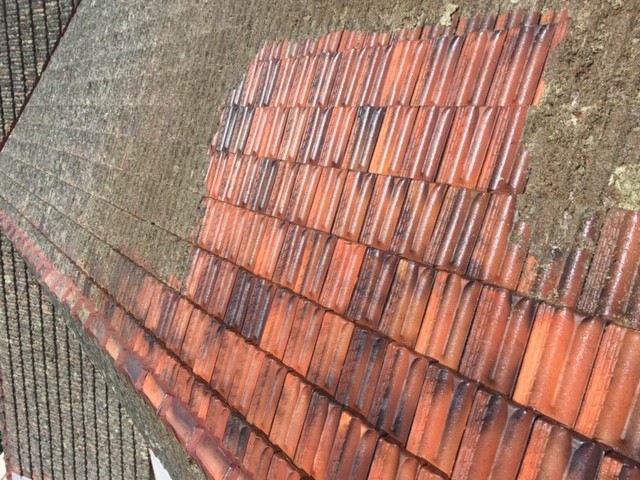 Rapid Jet Pressure Cleaning | Warehouse 2/35 De Goldis Rd, Fyansford VIC 3218, Australia | Phone: 0400 586 687 Rapid Jet Pressure Cleaning | Warehouse 2/35 De Goldis Rd, Fyansford VIC 3218, Australia | Phone: 0400 586 687