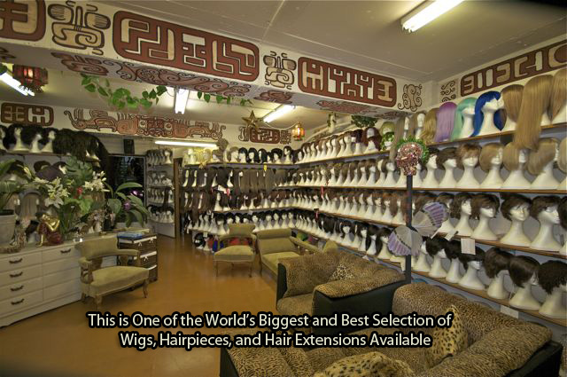 Sydney Wigs | hair care | 83 Bronte Rd, Bondi Junction NSW 2022, Australia | 0293875535 OR +61 2 9387 5535