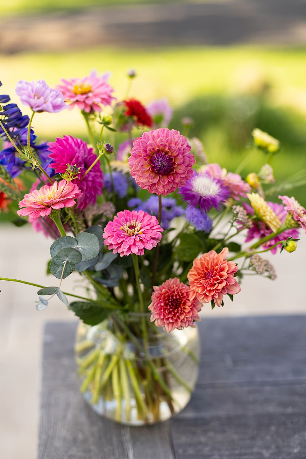 Valley View Flower Farm - You Pick Experience | 151 Burns Rd, Wisemans Creek NSW 2795, Australia | Phone: 0467 597 713