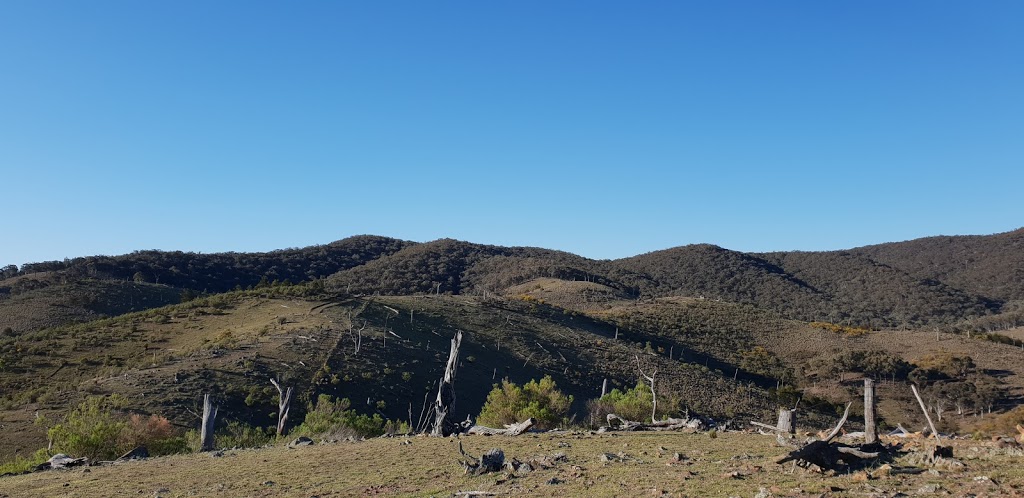 Mundoonen Nature Reserve | Manton NSW 2582, Australia