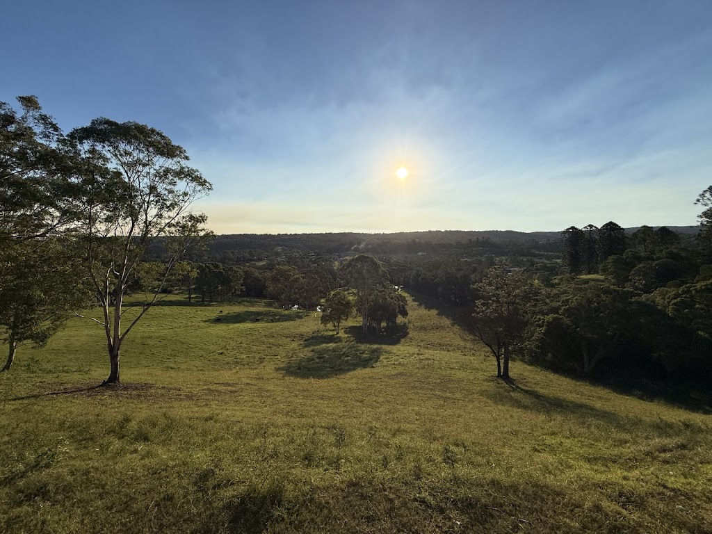 Skill Tree Psychology | 6 Grose Vale Community Centre Rd, Grose Vale NSW 2753, Australia | Phone: 0452 157 956