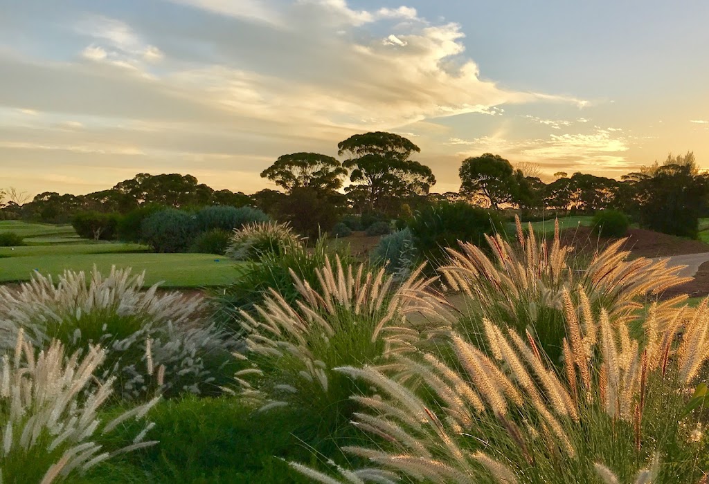 Kalgoorlie Golf Course | 93 Aslett Dr, Karlkurla WA 6430, Australia | Phone: (08) 9026 2601