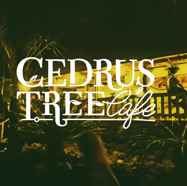 CEDRUS TREE CAFE BAR & RESTAURENT | 1381 Eumundi Noosa Rd, Eumundi QLD 4562, Australia | Phone: (07) 5442 7070