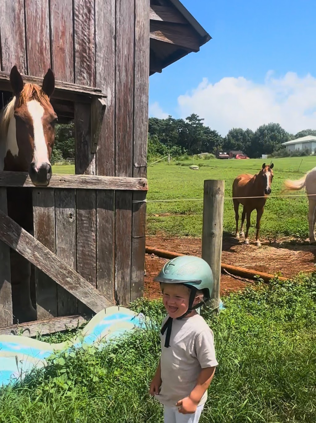 Equikids | 14 Ross Ln, Kinvara NSW 2478, Australia | Phone: 0450 623 086