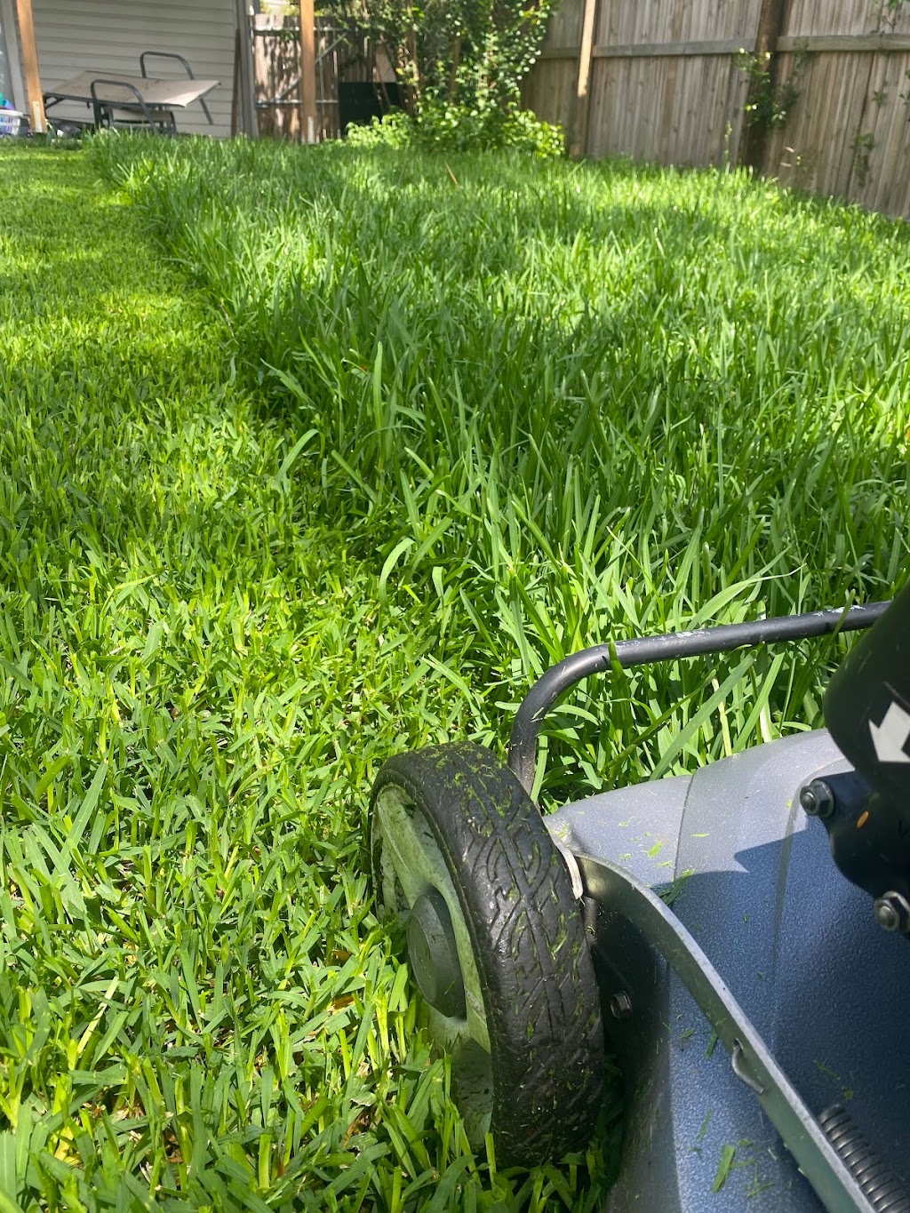 Winning Lawns | 23 Honey Pot Ave, Springfield Lakes QLD 4300, Australia | Phone: 0467 067 535