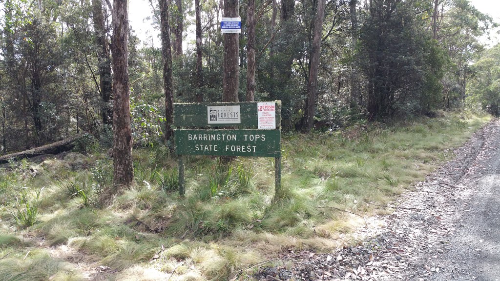 Devils Hole Campground | campground | &, Barrington Tops Forest Rd & Devils Hole Access, Barrington Tops NSW 2422, Australia | 0265451128 OR +61 2 6545 1128