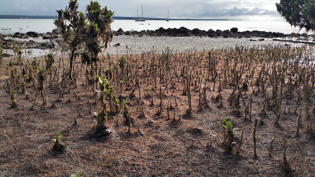 Western Port Coastal Reserve | park | Corinella VIC 3984, Australia